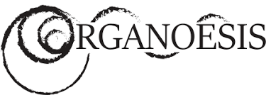 Organoesis